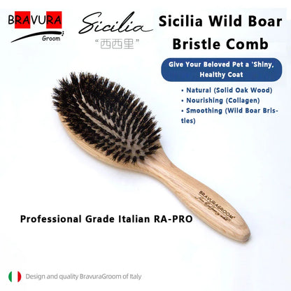 Pet Slicker Brush, 2-in-1 Long Pin Demating and Detangling Comb, Deshedding Brush for Dogs Cats, Grooming Tool for Shiny Coat