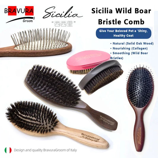 Pet Slicker Brush, 2-in-1 Long Pin Demating and Detangling Comb, Deshedding Brush for Dogs Cats, Grooming Tool for Shiny Coat