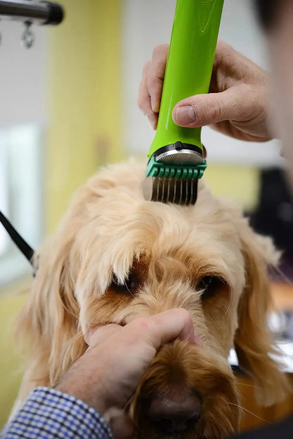 Professional Animal Stainless Steel Attachment Guide Comb Set for Wahl's Bravura, Arco, Chromado, Figura, and Motion Pet, Dog, C